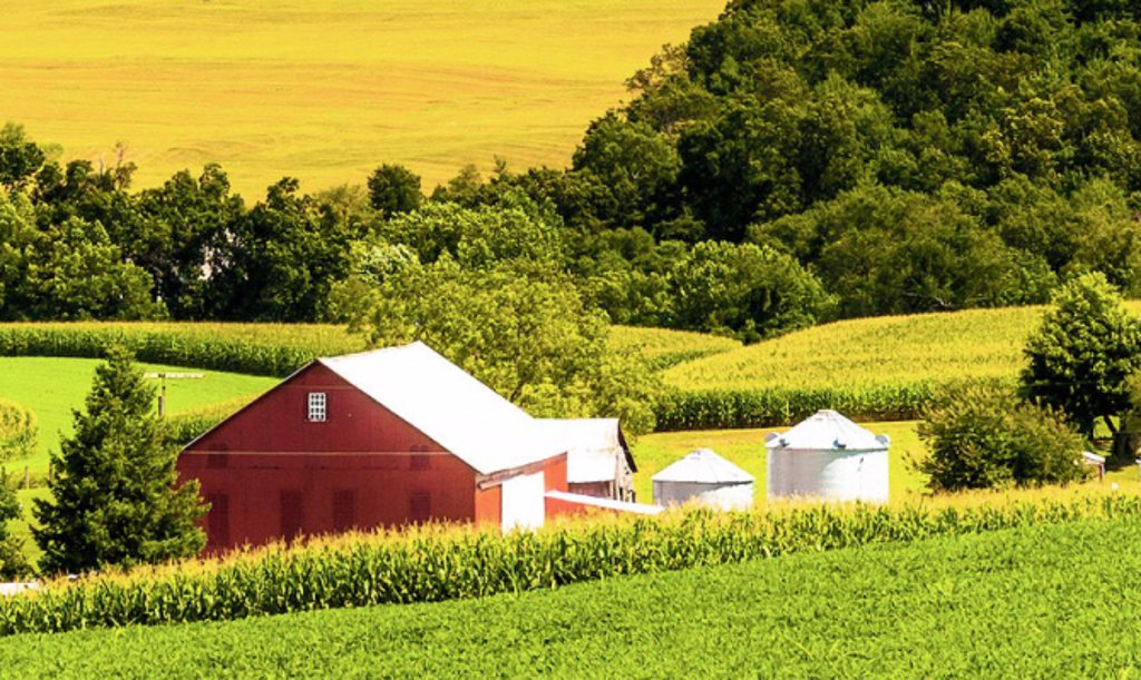 This image depicts a red barn in the middle of green fields.