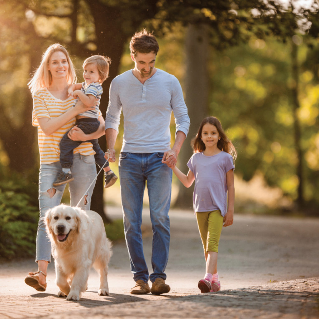 family taking a walk with their dog